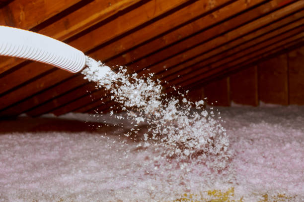 Best Insulation Maintenance and Repair in Parlier, CA