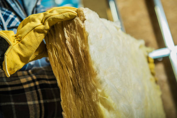 Types of Insulation We Offer in Parlier, CA