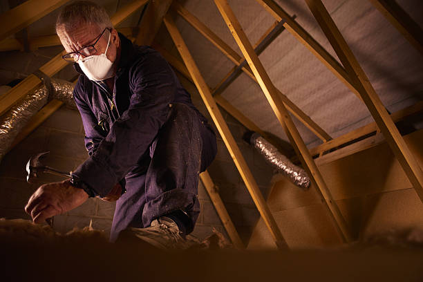 Best Eco-Friendly Insulation in Parlier, CA